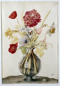 Vase mit Blumen mit Narzissen, Nelken und Anemonen